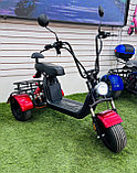 Электроскутер citycoco x 5 trike classic 2025, фото 7