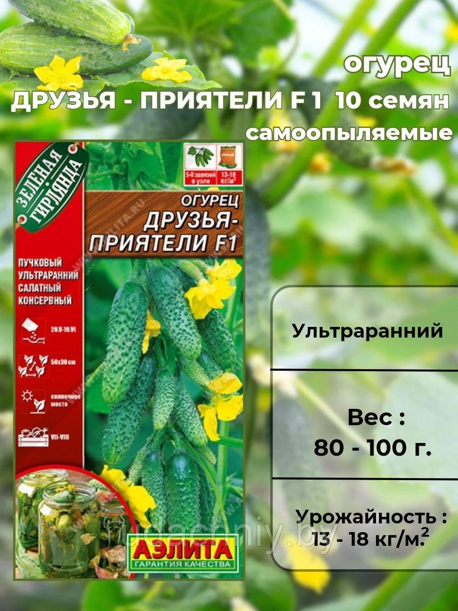 Огурец Друзья-Приятели F1. 10 шт. "Аэлита", Россия.