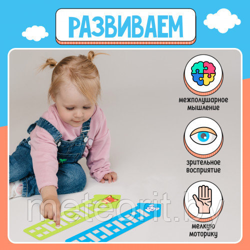 Развивающий набор «Нейродомики»