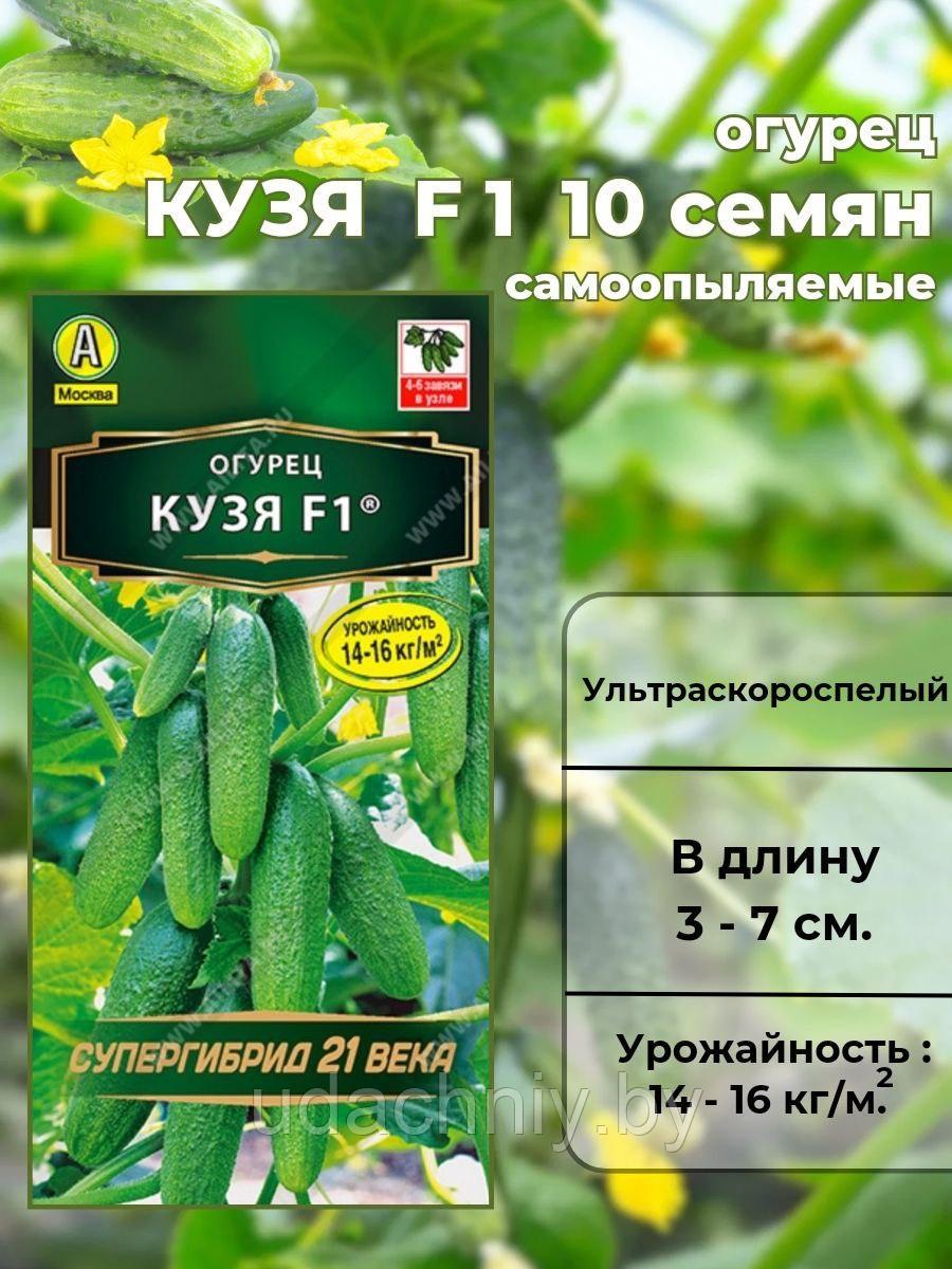 Огурец Кузя F1 10 шт. "Аэлита", Россия.