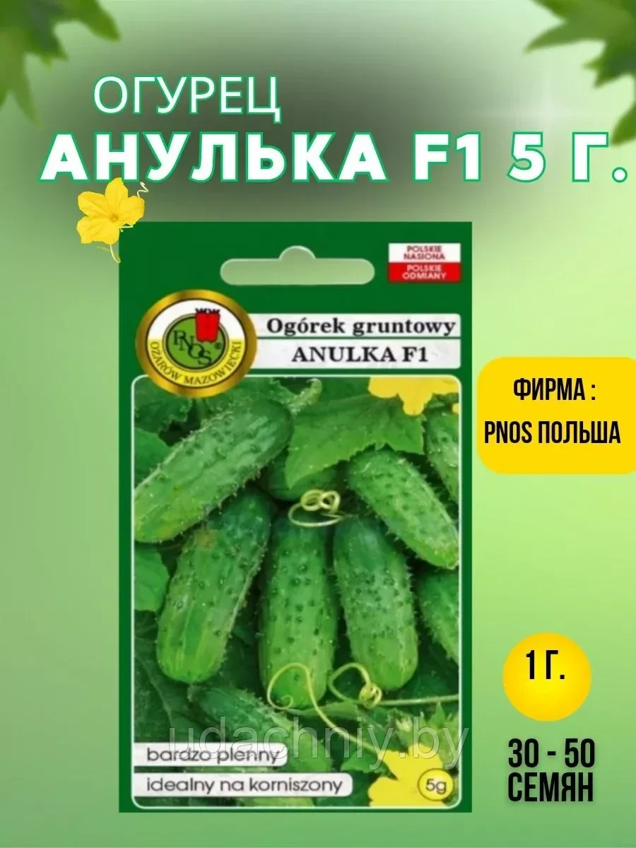 Огурец Анулька F1  5 г. "PNOS", Польша.