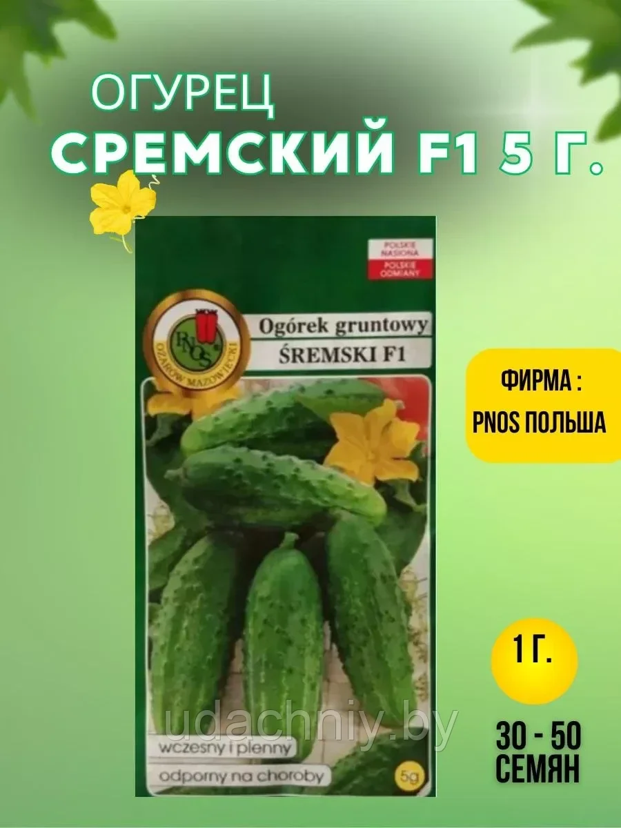 Огурец Сремский F1  5 г. "PNOS", Польша.
