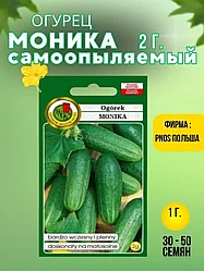 Огурец Моника 2 г Самоопыляемый. "PNOS", Польша.