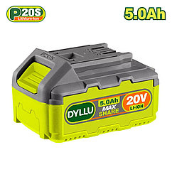 Аккумулятор DYLLU DTLBP550