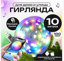 Умная гирлянда роса светодиодная 10м Dream color LED с пультом и приложением MR Star 15Ват