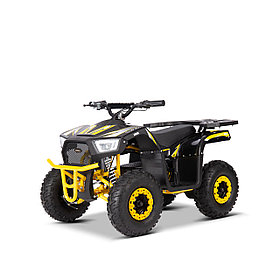 Электроквадроцикл YACOTA SIRIUS 1000W
