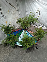 Цветочница "Павлин разноцветный хвост" КО41