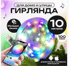 Умная гирлянда роса светодиодная 10м Dream color LED с пультом и приложением MR Star 15Ват