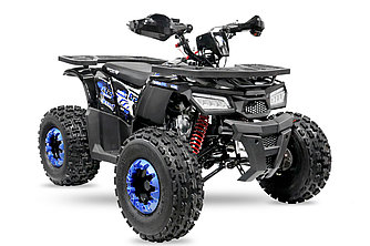 AMOTO Wild 125