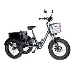 Электровелосипед трицикл E-Motions PANDA 750W