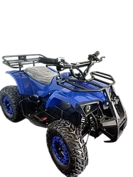 Квадроцикл AMOTO E009 1000w синий