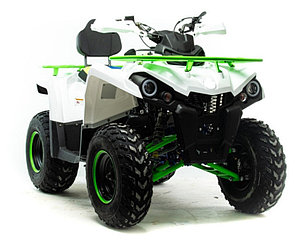 AMOTO Shark 200