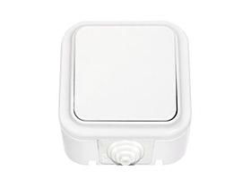 Выключатель 1 клав. проходной (открытый, 10А, брызг. защ.) белый, Пралеска Аква, BYLECTRICA