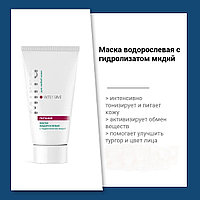 Маска водорослевая MIRRA с гидролизатом мидий 50 мл