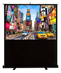 Экран Cactus FloorCompactExpert CS-PSFLCE-200X113, 200х113 см, 16:9, напольный