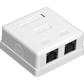Розетка внешняя двойная ExeGate SM2-RJ45-C5 RJ-45 кат.5/5E UTP Krone/110 (EX292843RUS)