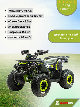 Квадроцикл Motoland Wild X 125cc