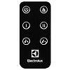 Очаг электрический Electrolux EFP/P-4220LS, фото 3