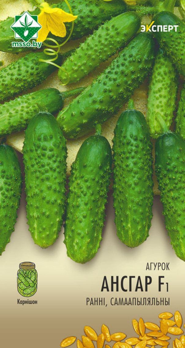 Огурец Ансгар F1 7шт Эксперт МССО