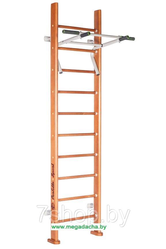 Детский спортивный комплекс Perfetto sport "Rapido PS-102"