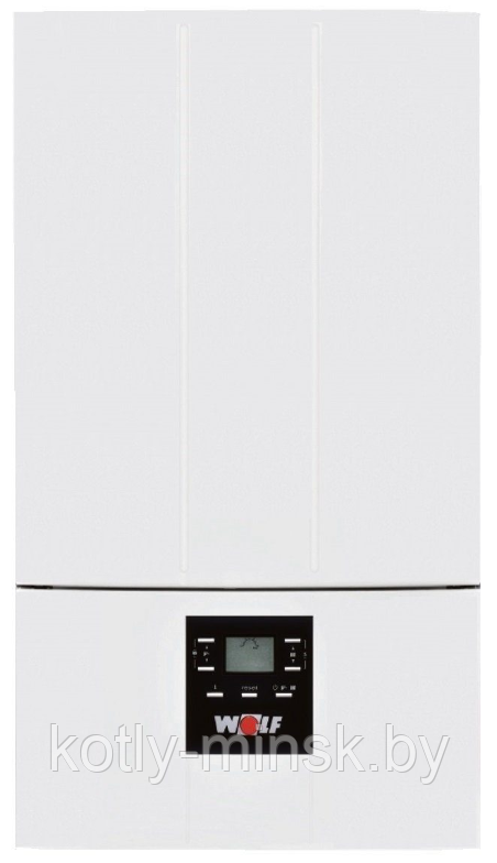 Газовый котел WOLF CGG-3-24