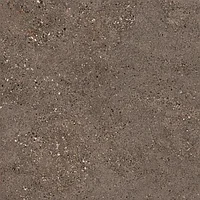 Керамогранит FoirGroup Fidenza Anthractie suggar 60*60*2 матовый