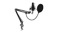 Проводной микрофон RITMIX RDM-169