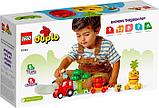 Конструктор LEGO Duplo 10982 Трактор для перевозки овощей и фруктов, фото 2