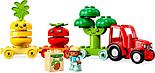Конструктор LEGO Duplo 10982 Трактор для перевозки овощей и фруктов, фото 3