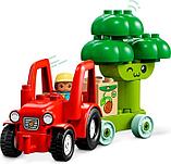 Конструктор LEGO Duplo 10982 Трактор для перевозки овощей и фруктов, фото 4