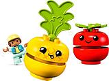 Конструктор LEGO Duplo 10982 Трактор для перевозки овощей и фруктов, фото 5