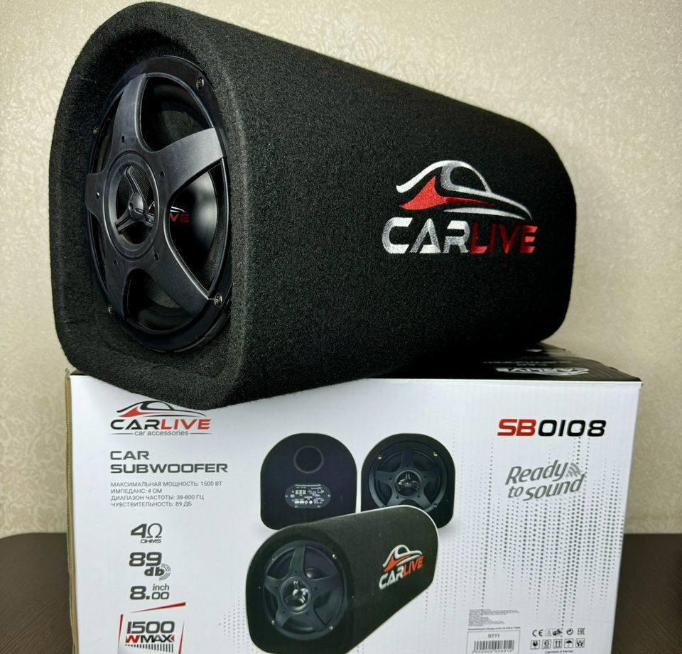 Сабвуфер активный Carlive 1500w с проводами - фото 1 - id-p234407311