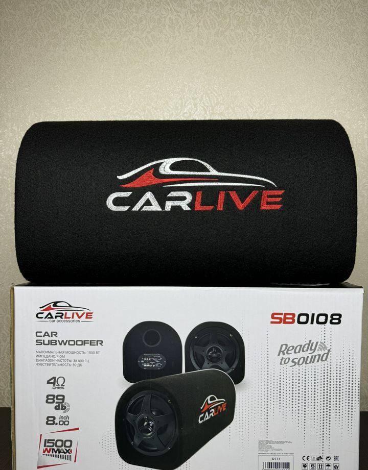 Сабвуфер активный Carlive 1500w с проводами - фото 2 - id-p234407311