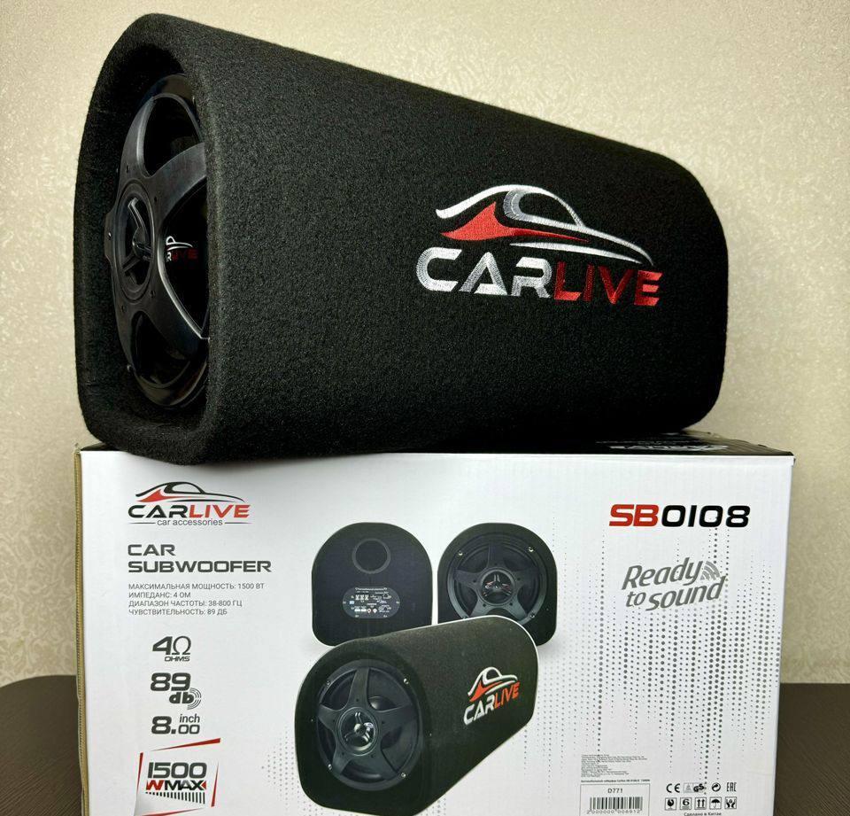 Сабвуфер активный Carlive 1500w с проводами - фото 6 - id-p234407311