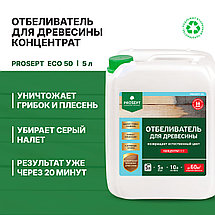 PROSEPT 50 Отбеливатель для древесины 1:1, 5л, фото 2