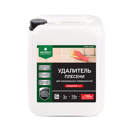 PROSEPT FUNGI CLEAN Удалитель плесени 1:1, 5л, фото 2