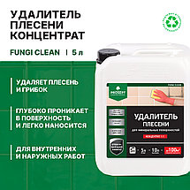 PROSEPT FUNGI CLEAN Удалитель плесени 1:1, 5л, фото 2