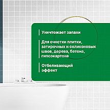PROSEPT FUNGI CLEAN Удалитель плесени 1:1, 5л, фото 3