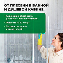 PROSEPT FUNGI CLEAN Удалитель плесени 1:1, 5л, фото 3