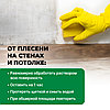 PROSEPT FUNGI CLEAN Удалитель плесени 1:1, 5л, фото 4