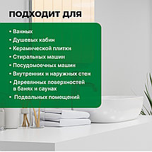 PROSEPT FUNGI CLEAN Удалитель плесени 1:1, 5л, фото 2