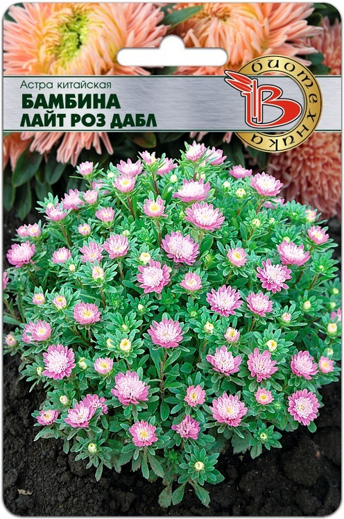 Астра китайская Бамбина Лайт Роз Дабл, 20 шт. "Биотехника", РФ