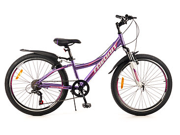 Велосипед Favorit Discovery 24VA DIS24V11VL-AL