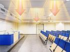 Обогреватель инфракрасный электрический BALLU BIH-S2-0,3 (НС-1132836), фото 6
