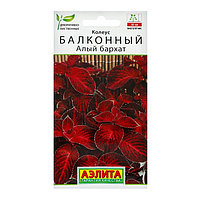 Колеус балконный Алый бархат 5шт Аэлита
