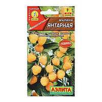 Малина Янтарная 20шт Аэлита