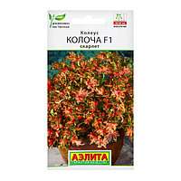 Колеус Колоча F1 скарлет 5шт Аэлита