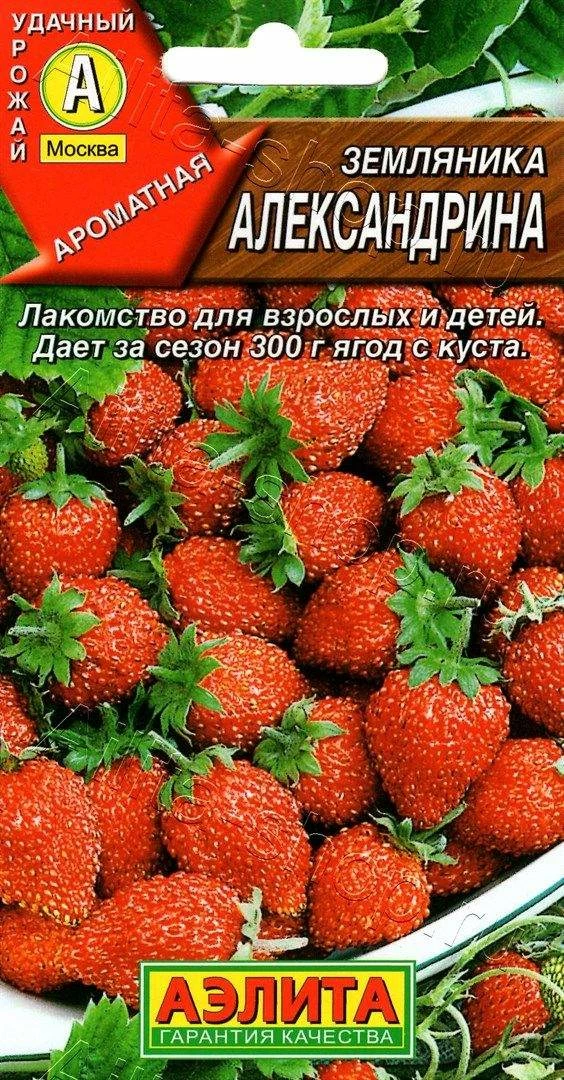 Земляника Александрина 0,04г Аэлита