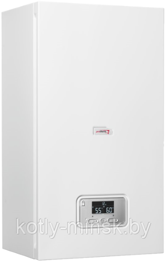 Электрический котел Protherm СКАТ RAY 6 KE /14