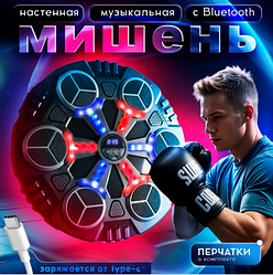 Музыкальный боксерский тренажер настенный с Bluetooth  Music Boxing Target